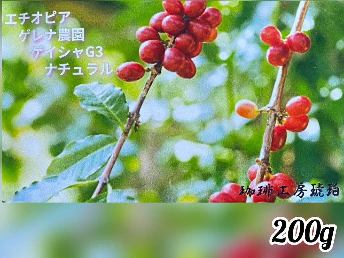 エチオピア ゲレナ農園 ゲイシャG3〜ナチュラル〜 自家焙煎コーヒー豆200g – BANEMO