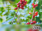 エチオピア ゲレナ農園 ゲイシャG3〜ナチュラル〜　自家焙煎コーヒー豆200g