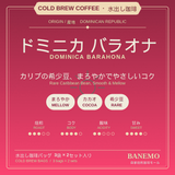 【2セット6袋入り】ドミニカ バラオナ　　水出し珈琲COFFEE BAG 　3袋×2セット6袋入り