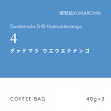 【2セット6袋入り】グァテマラ ウエウエテナンゴ　水出し珈琲COFFEE BAG 　3袋×2セット6袋入り