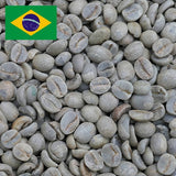 BRAZIL BOURBON Q Grade 400g